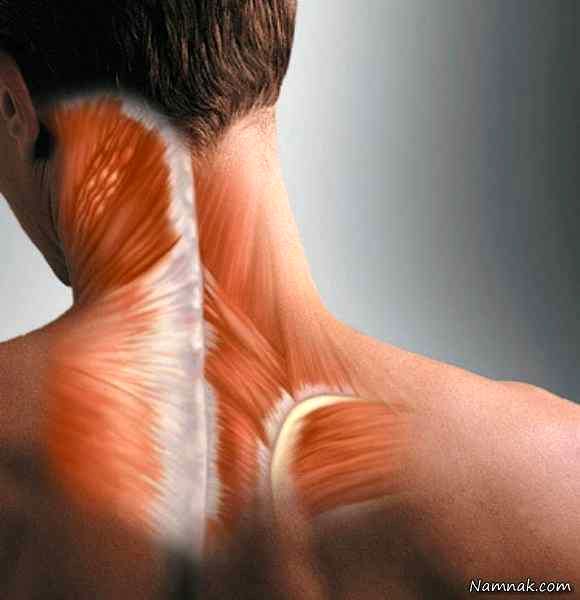 چگونه عضلات گردن و شانه را تقویت کنیم؟